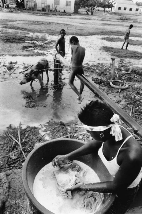 Dominican Republic - Sugar Cane Harvest - Batey 6